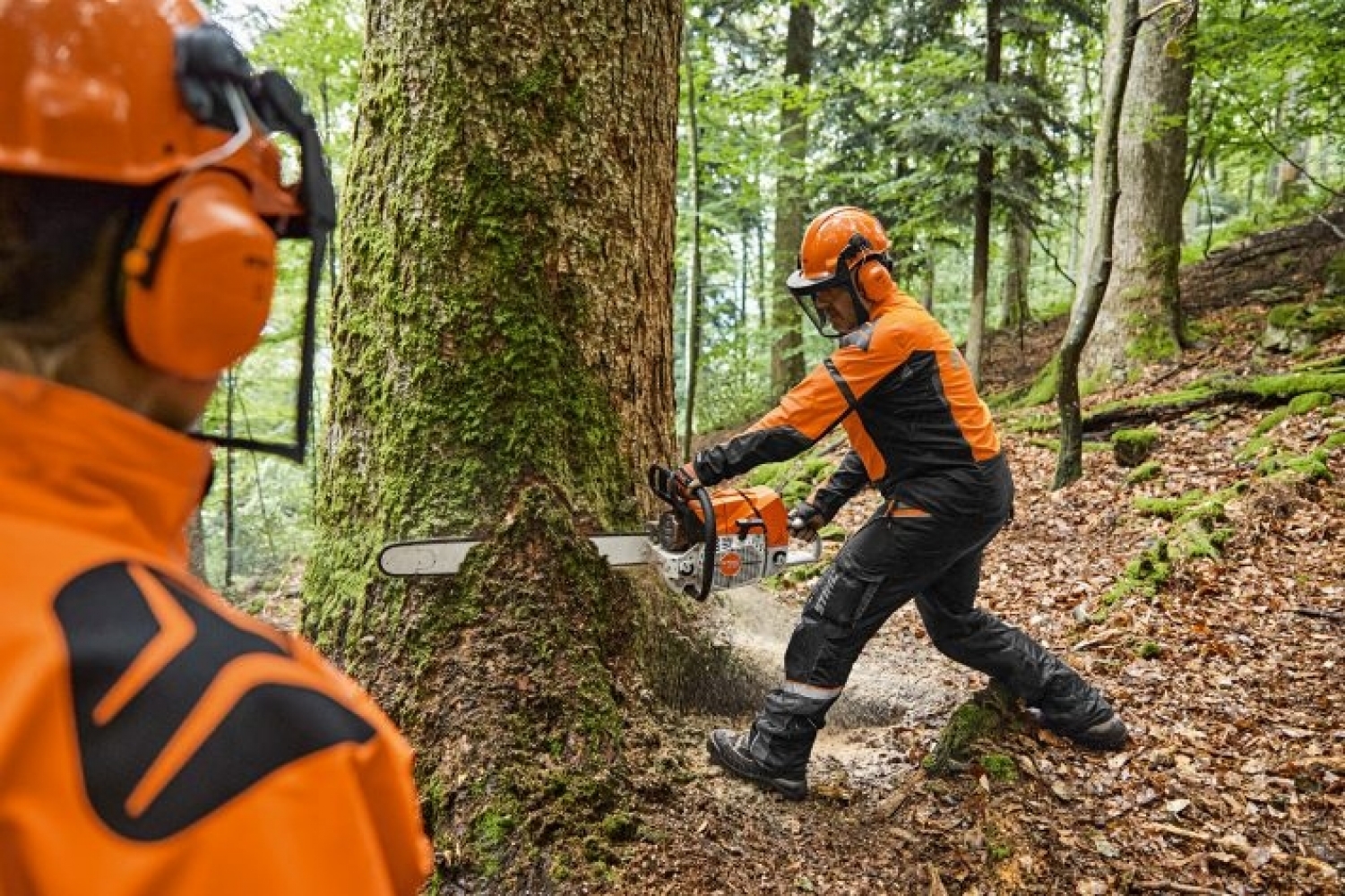 Tronçonneuse thermique STIHL MS 881 – Image 2